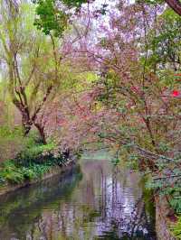 三月遊成都，別錯過這個滿園海棠的古風公園