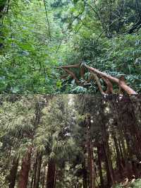 探索貴州六盤水玉舍森林公園，邂逅自然之美！