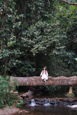 Unlock the Tropical Rainforest and Mori Waterfall in Yunnan