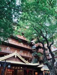 行走廣州-佛山的4日輝煌 你不來更待何時
