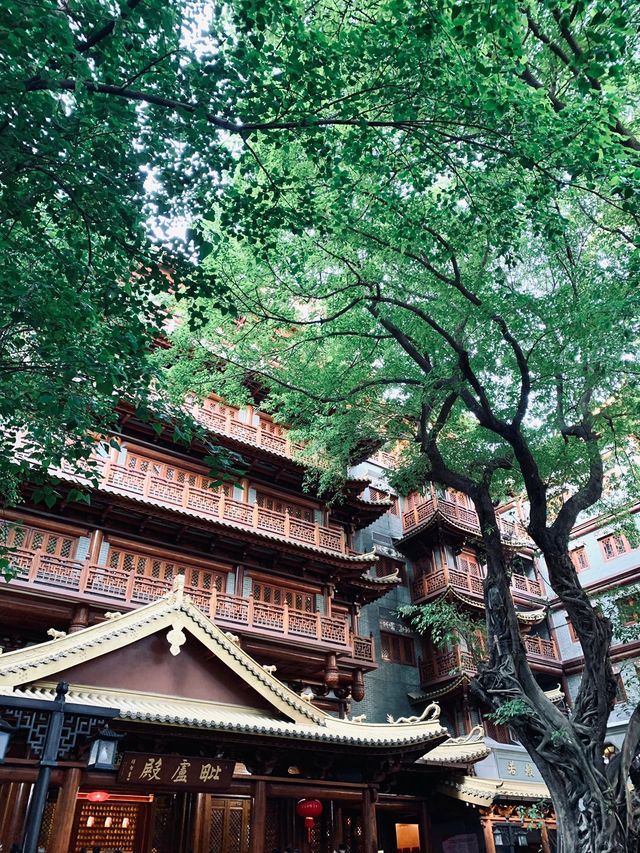 行走廣州-佛山的4日輝煌 你不來更待何時
