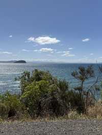 A Swim Like No Other, The Lakes In The Bay Of Plenty New Zealand