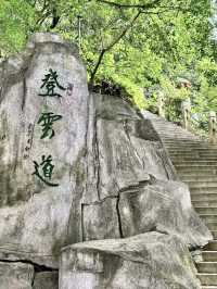雲山疊翠：梧桐山的晨曦步履