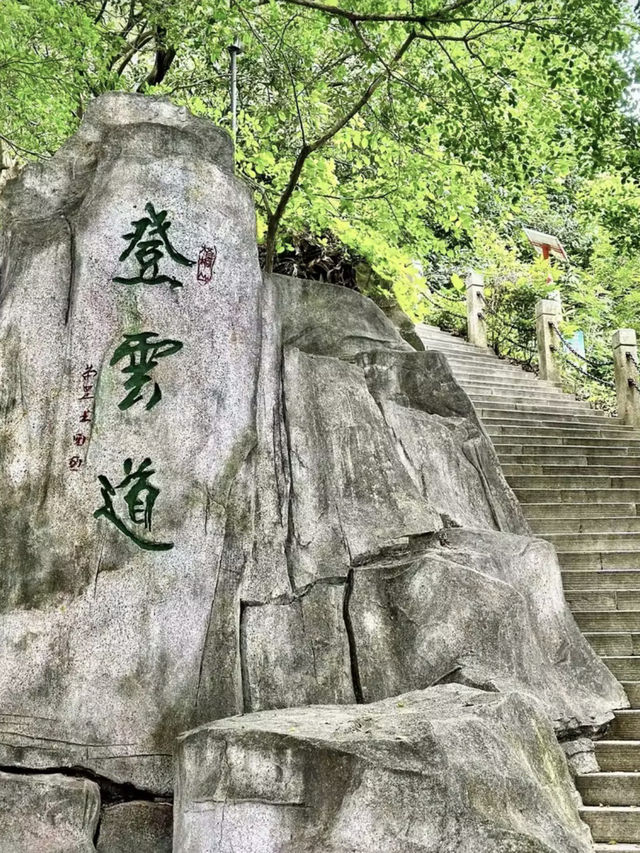 雲山疊翠：梧桐山的晨曦步履