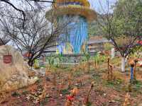 東華寺祈福·遇見繁花
