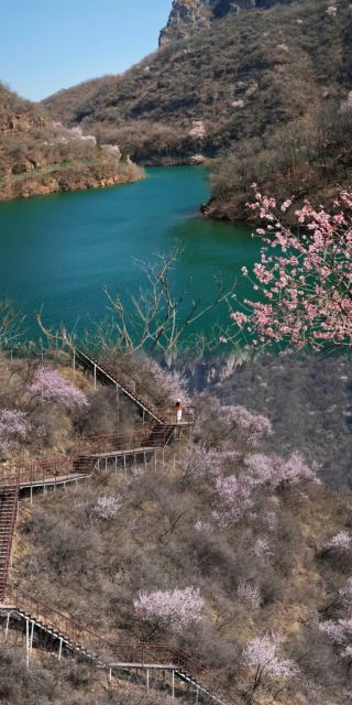 Daxi Valley Spring Peach Blossom Hiking Guide: Mountain Closure Warning, Don't Miss the Beauty!
