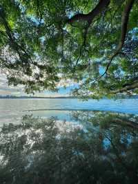 Discover the Beauty of West Lake with a 30,000-Step Adventure!