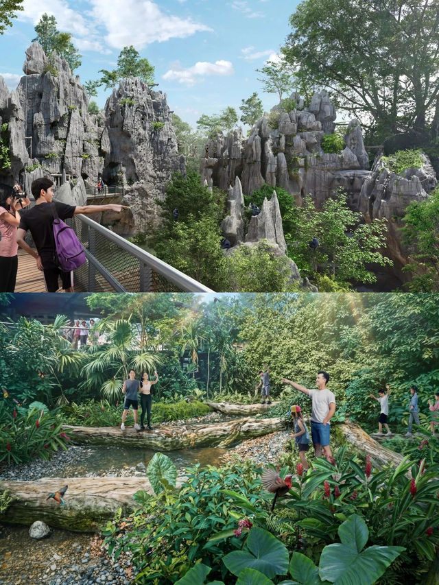 Singapore's Rainforest Wild Asia Adventure Park Opens March