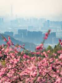 收好這份避開人潮攻略！輕鬆承包無人桃花源