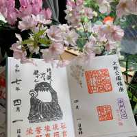 衝！上野東照宮4月限定御朱印get🏮