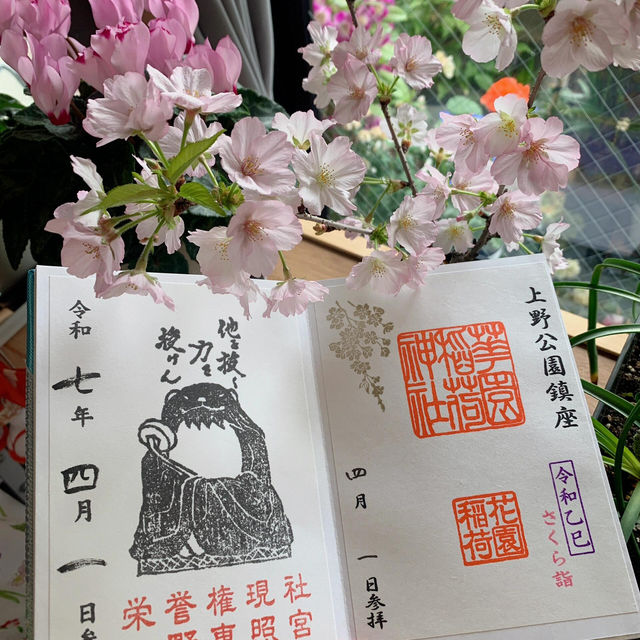 衝！上野東照宮4月限定御朱印get🏮