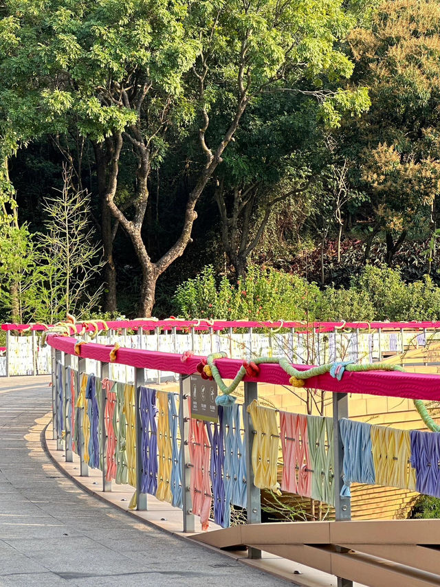 #雲溪植物園：廣州的自然詩篇