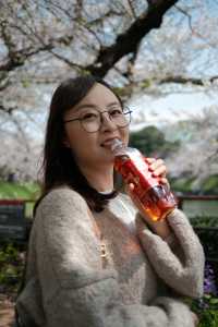 東京千鳥之淵賞櫻之旅