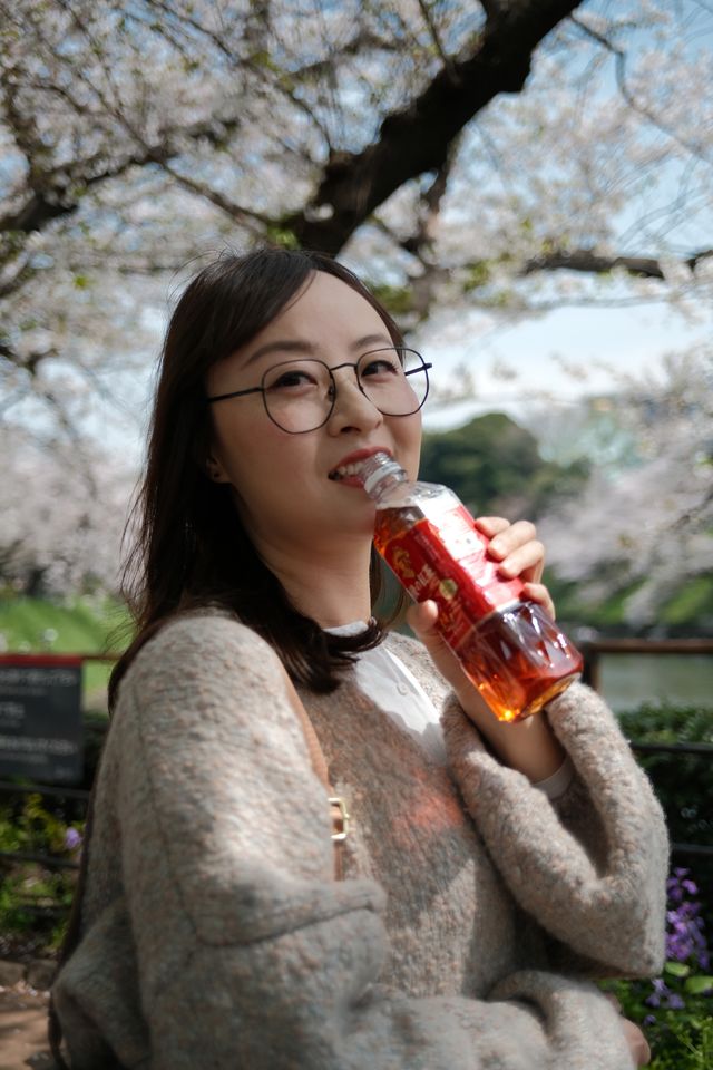 東京千鳥之淵賞櫻之旅