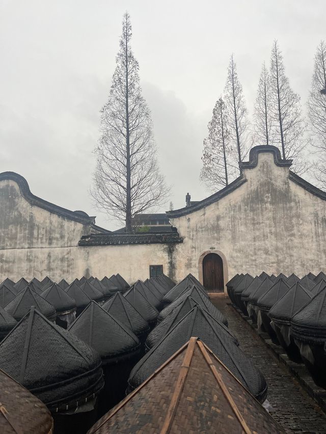 去烏鎮玩咗一轉，整理出呢份超全攻略！