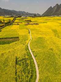 興義萬峰林油菜花不可錯過春日花海
