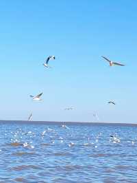 去有風的地方 看海