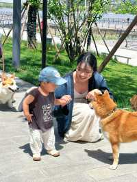 上海西岸夢中心：春日漫遊遛寵指南