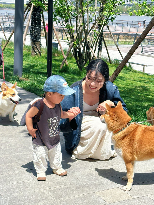上海西岸夢中心：春日漫遊遛寵指南