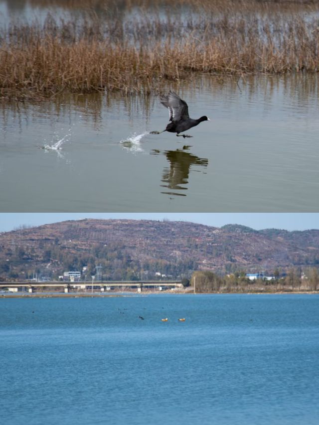 貴州小眾目的地「威寧草海」，適合冬天去