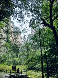 張家界｜奇幻山水間的冒險之旅