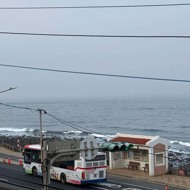 🌟【台北金山跳石輕旅行攻略】