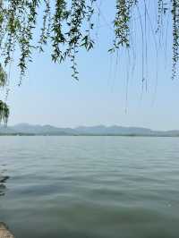 救命！杭州西湖把春日粉色桃花浪漫玩明白了