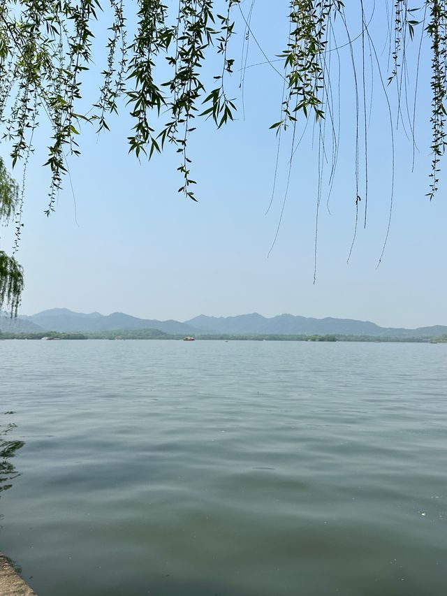 救命！杭州西湖把春日粉色桃花浪漫玩明白了