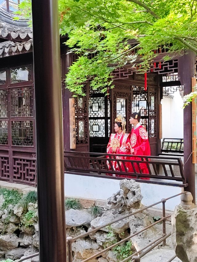 暮春的怡園