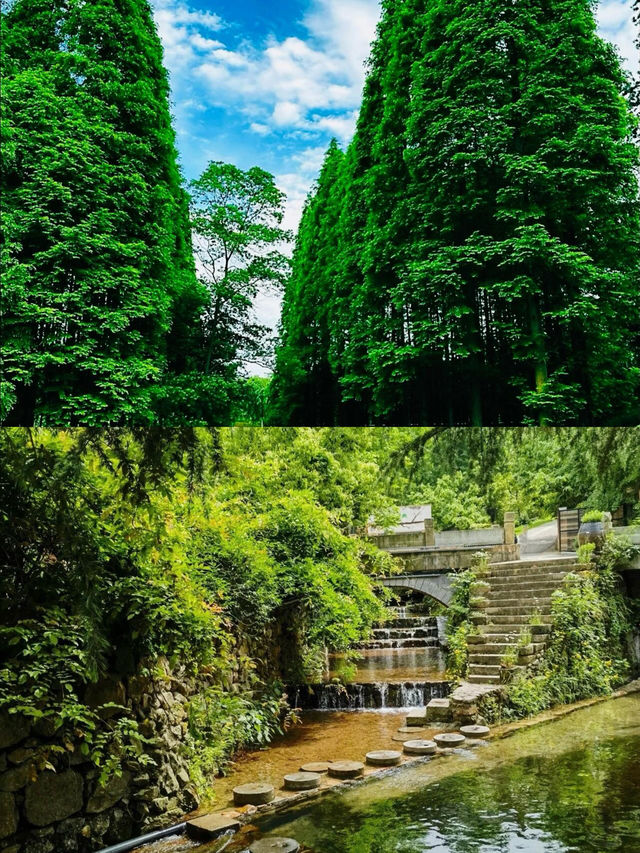 我宣布江蘇宜興就是反向旅行天花板