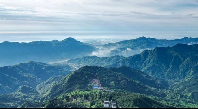 隱藏在森林中，浸在25度夏天的民宿