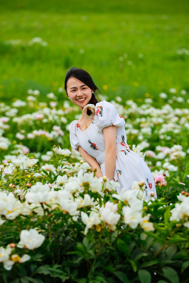 呼倫貝爾之旅，令人心動不已