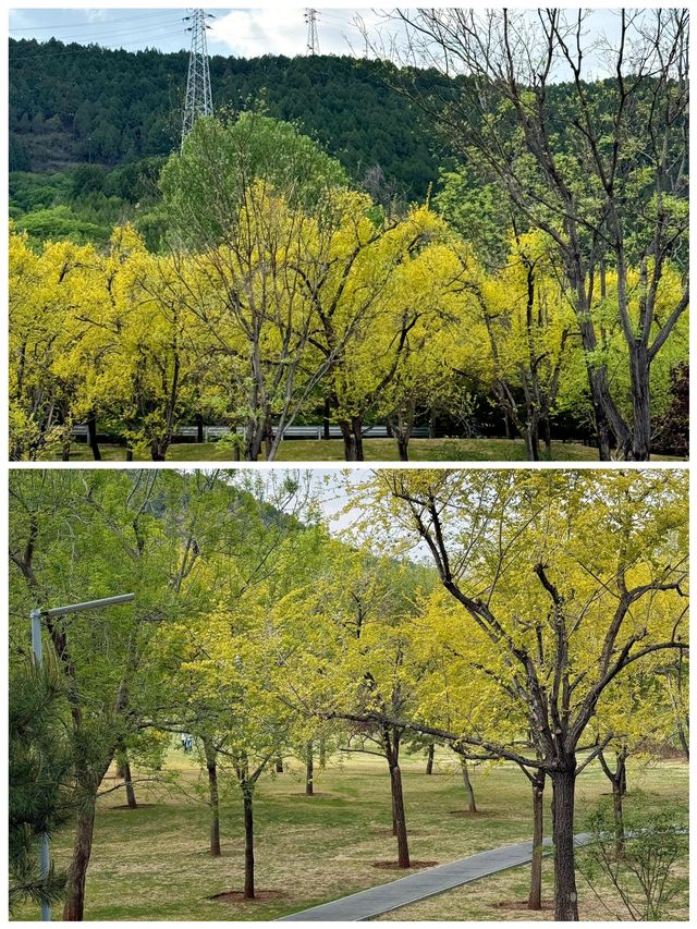 雁栖湖西山步道安靜休閒的好地方令心情舒暢嚟呀