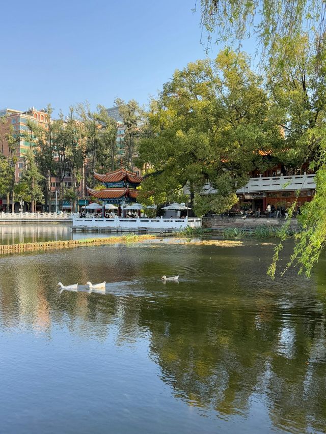 嚟昆明必跟6點起身解鎖高能量嘅一日