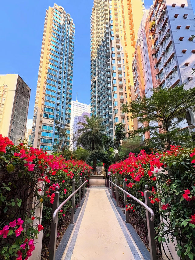 🇭🇰香港5G過年啦！利東街美到失語！