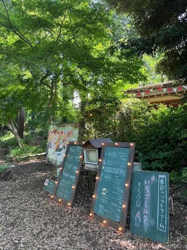 東京吉祥寺交通攻略｜邂逅宮崎駿筆下的初夏浪漫