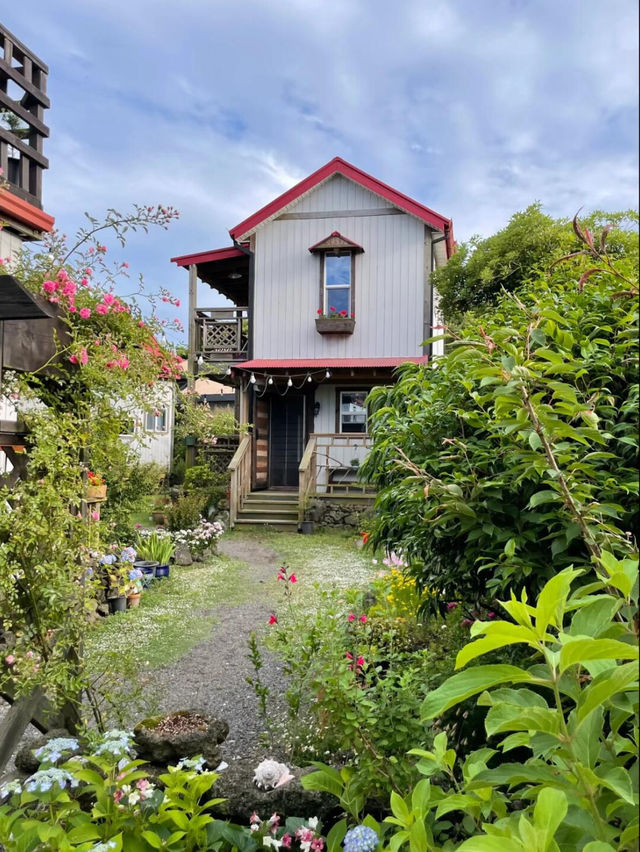 💙濟州島夏日限定｜闖入莫奈筆下的繡球花海仙境！