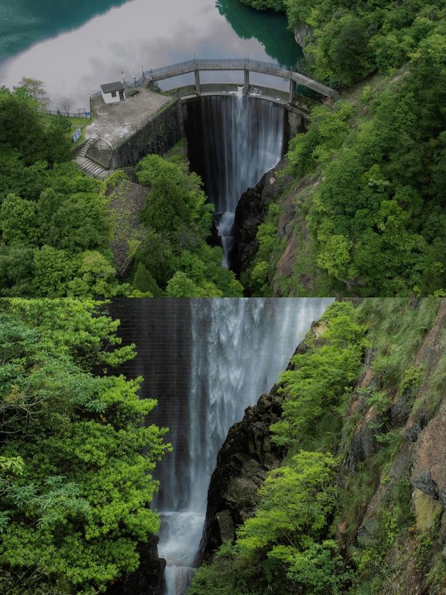 天目山3日2夜旅遊全攻略