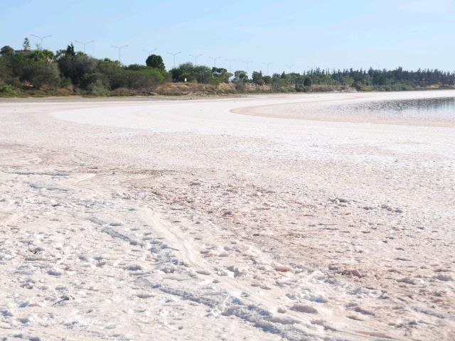 塞浦路斯拉納卡鹽湖