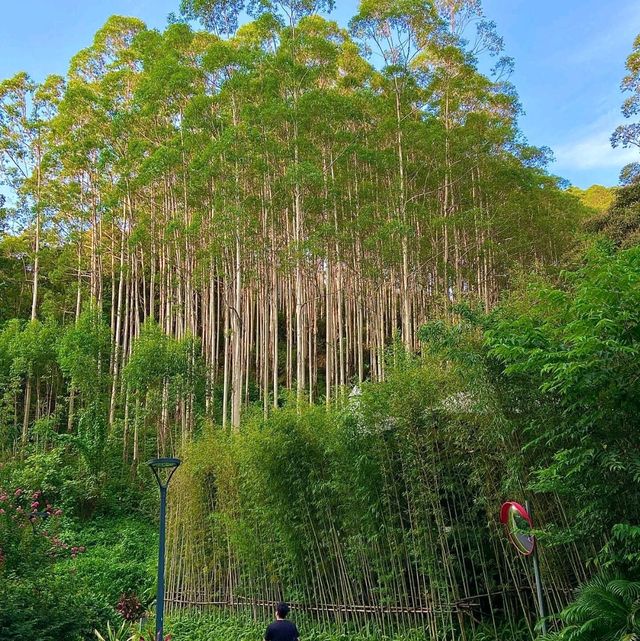 山野間的日落無邊泳池