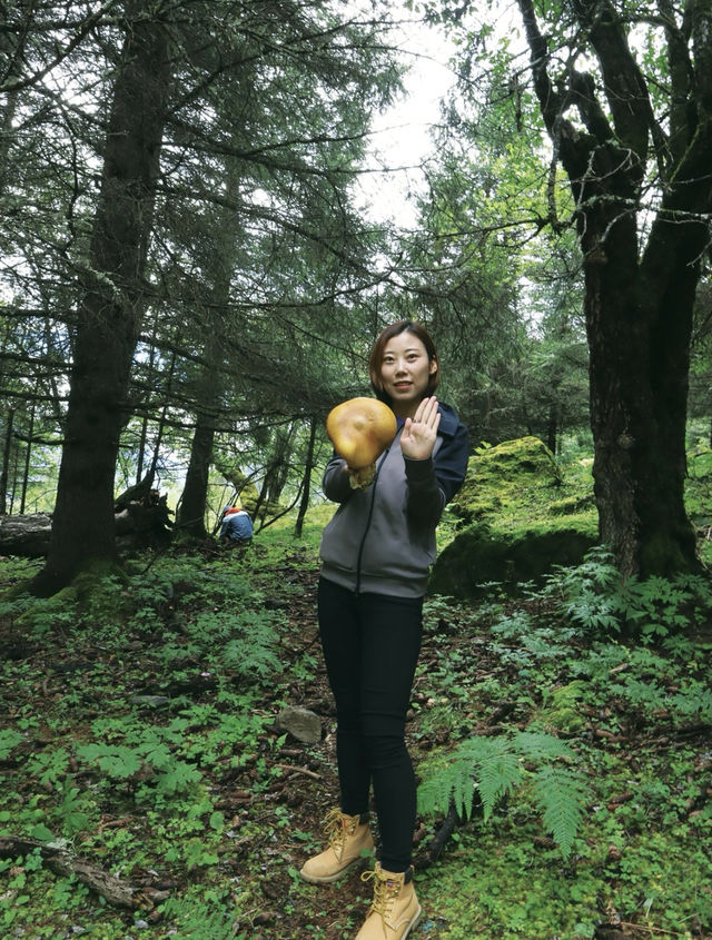 喺雨崩除咗行山，仲有咩隱藏玩法？