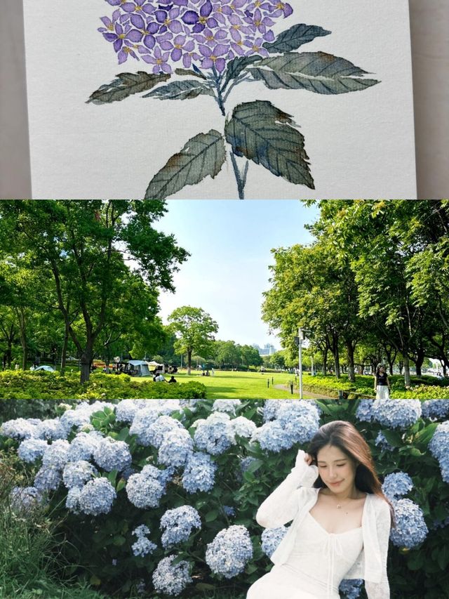 揚州慢活，夏天點可以冇呢片花海呢