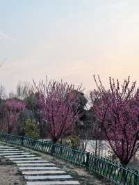 荷風醉客處，馬鳴入夢來