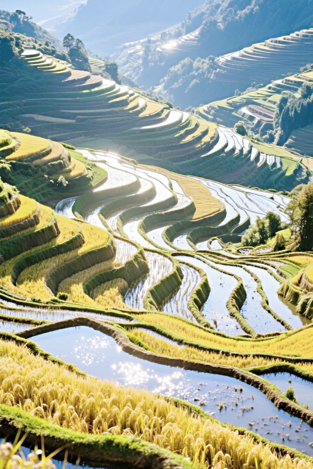 梯田—天顏