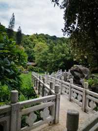 喺廣東！唔使錢可以住三日嘅精神避難所！