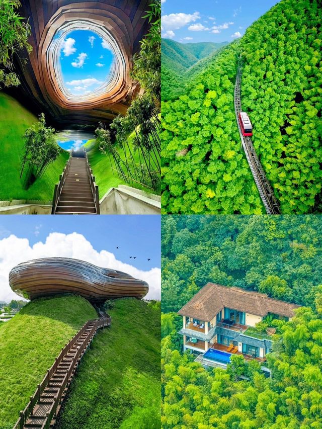 親子闖關！竹林尋熊貓·博物館探洞·水世界狂歡