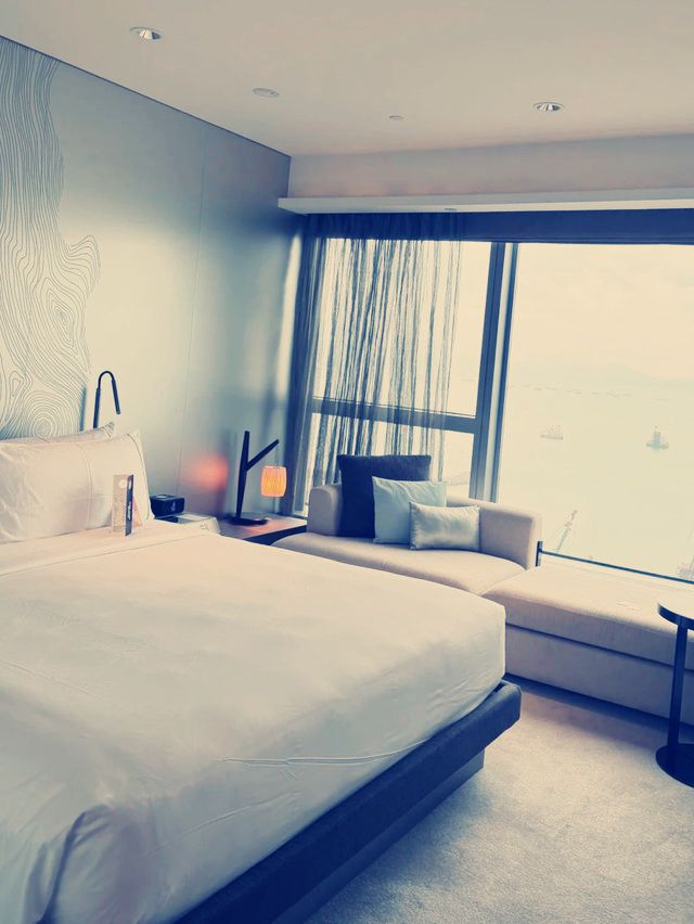 毛孩也能住的奢華體驗！香港W Hotel寵物友好住宿全攻略】
