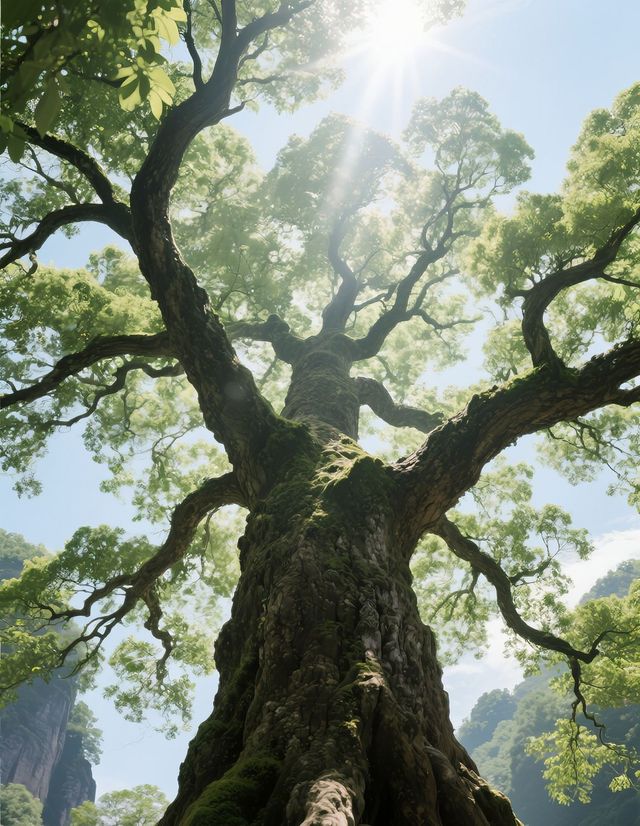 私藏！武夷山遊玩寶典，照住玩超省心