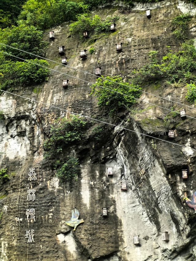 神農架真係個旅遊好地方