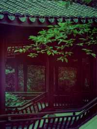 【尋幽探祕：五雲山真跡寺的禪意與金黃詩篇】